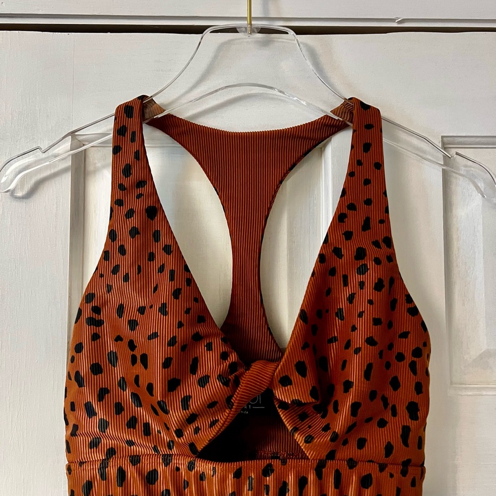 Beach Riot Cheetah Sports Bra